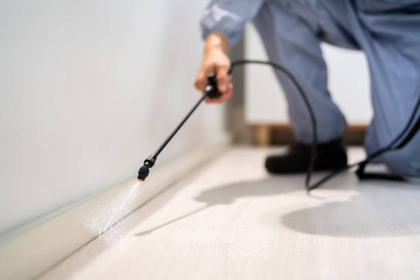 Licensed Pest Control service in Anson, TX - Show Me Pest Control