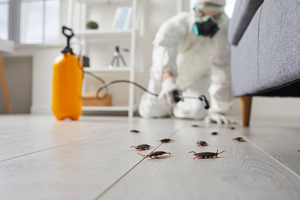 Commercial Kitchen Cockroach Control in Anson